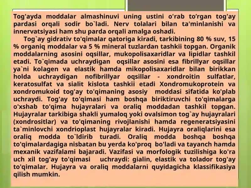 Tog’ay va suyak to’qimasi 4