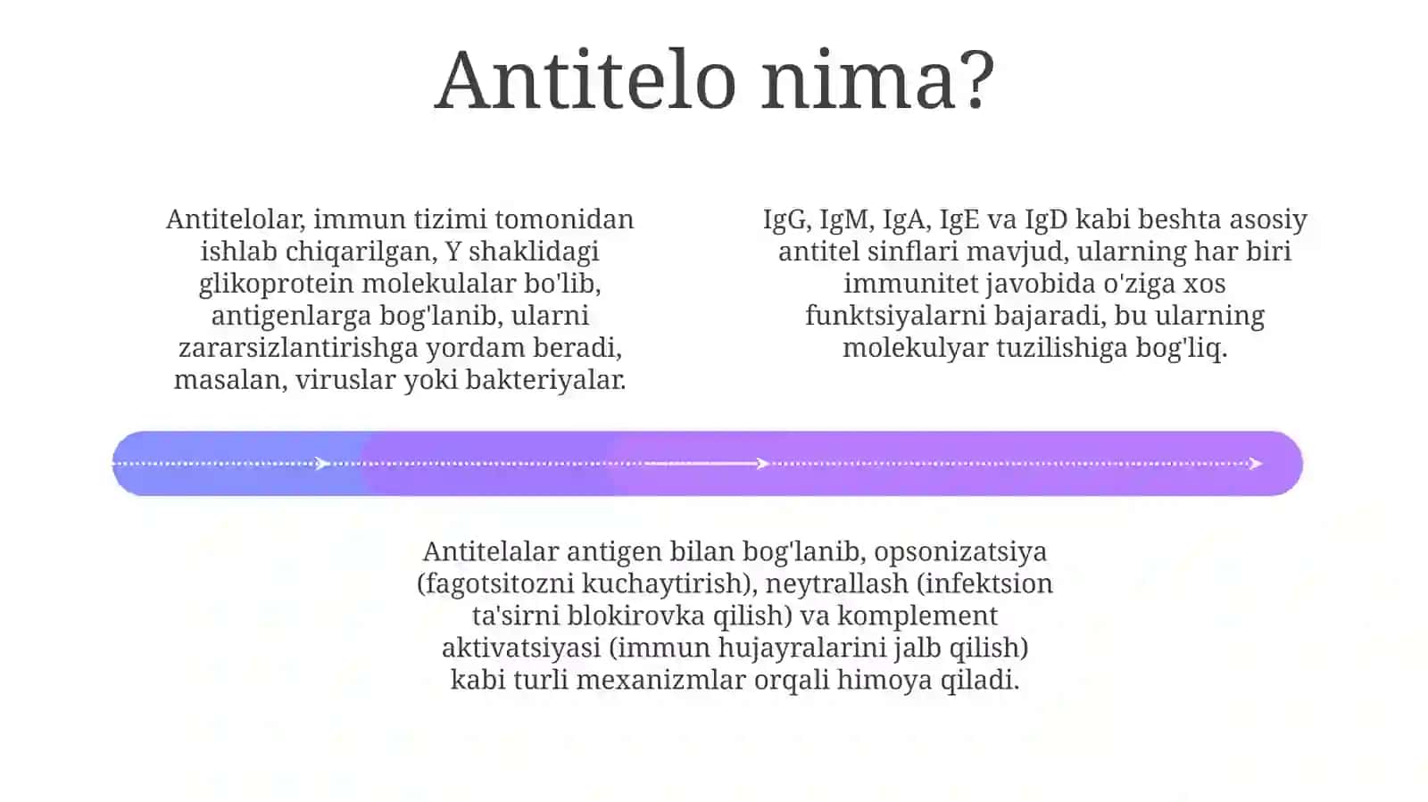 AntigenvaAntitelo 4
