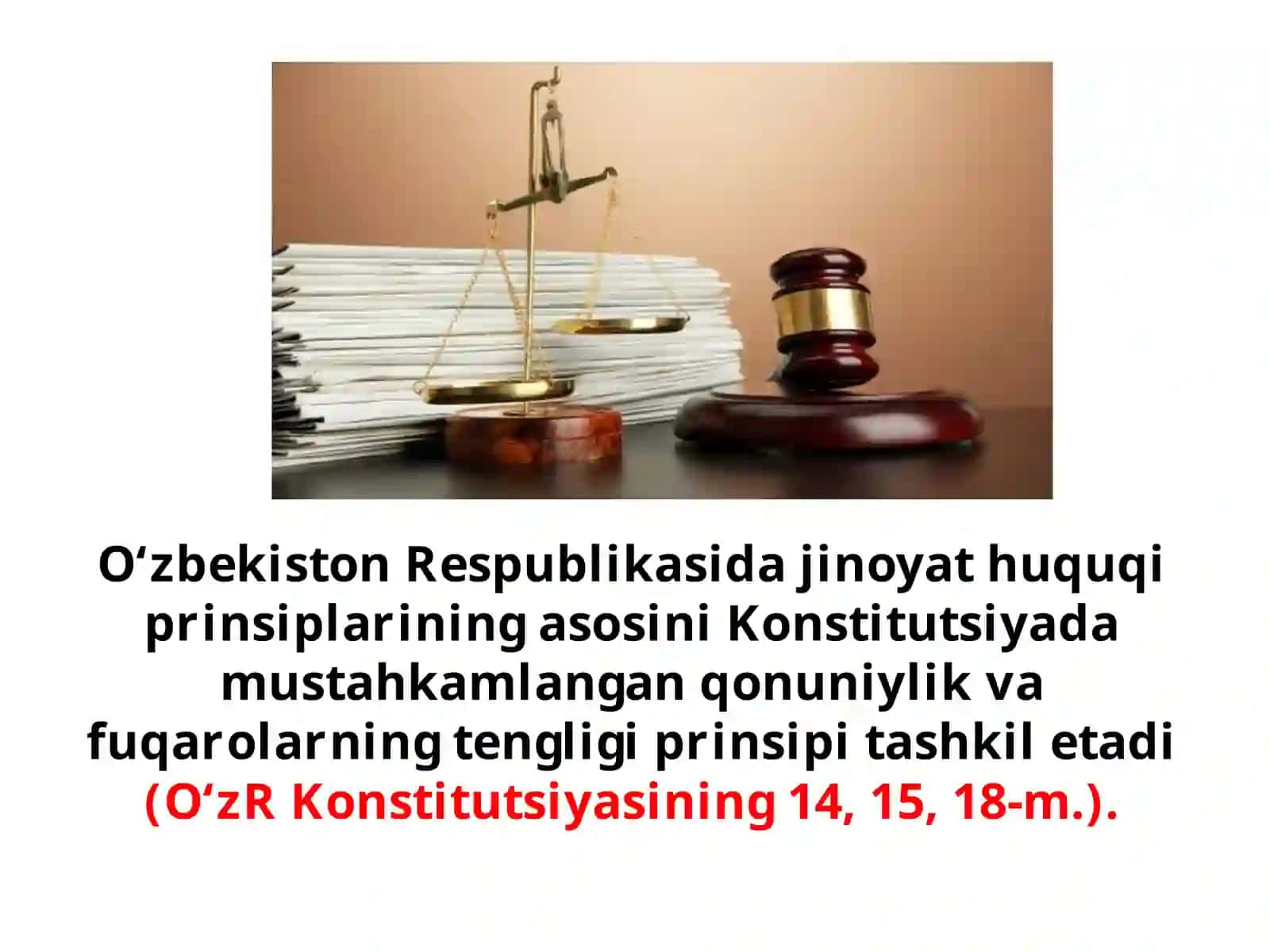 Jinoyat huquqining maqsadi, vazifasi va tamoyillari 4