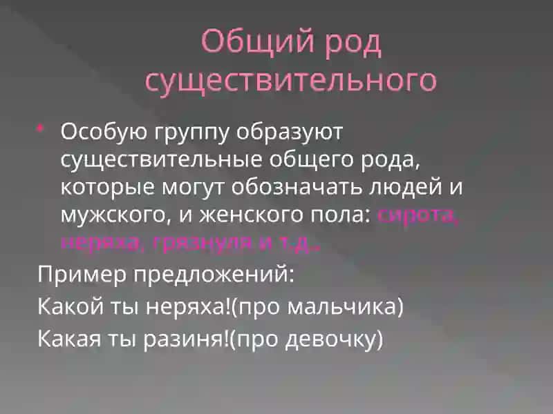 Имя существительное 4