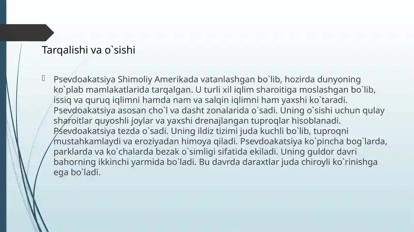 Psevdo akatsiya (Robinia) 4