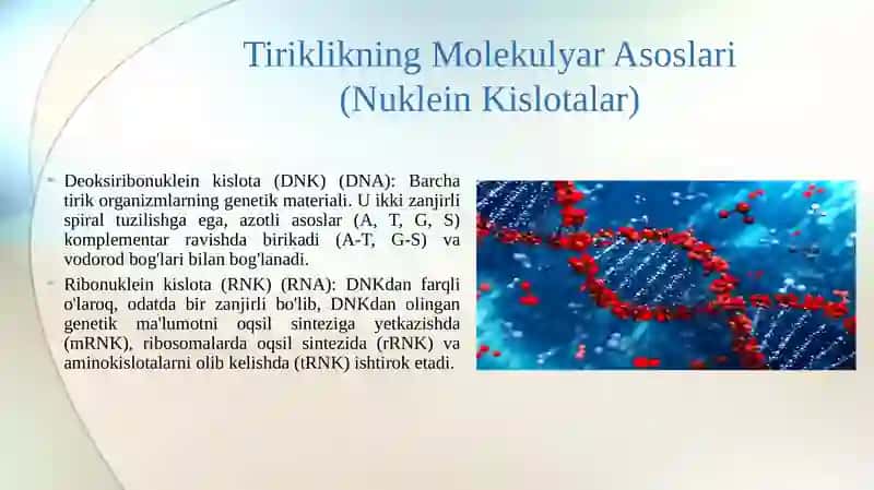 Molekulyar genetika.tiriklikning molekulyar asoslari.Nukelyin kislotalar va ularning irsiy belgilarini nasldan naslga oʻtishdagi yoʻli 4