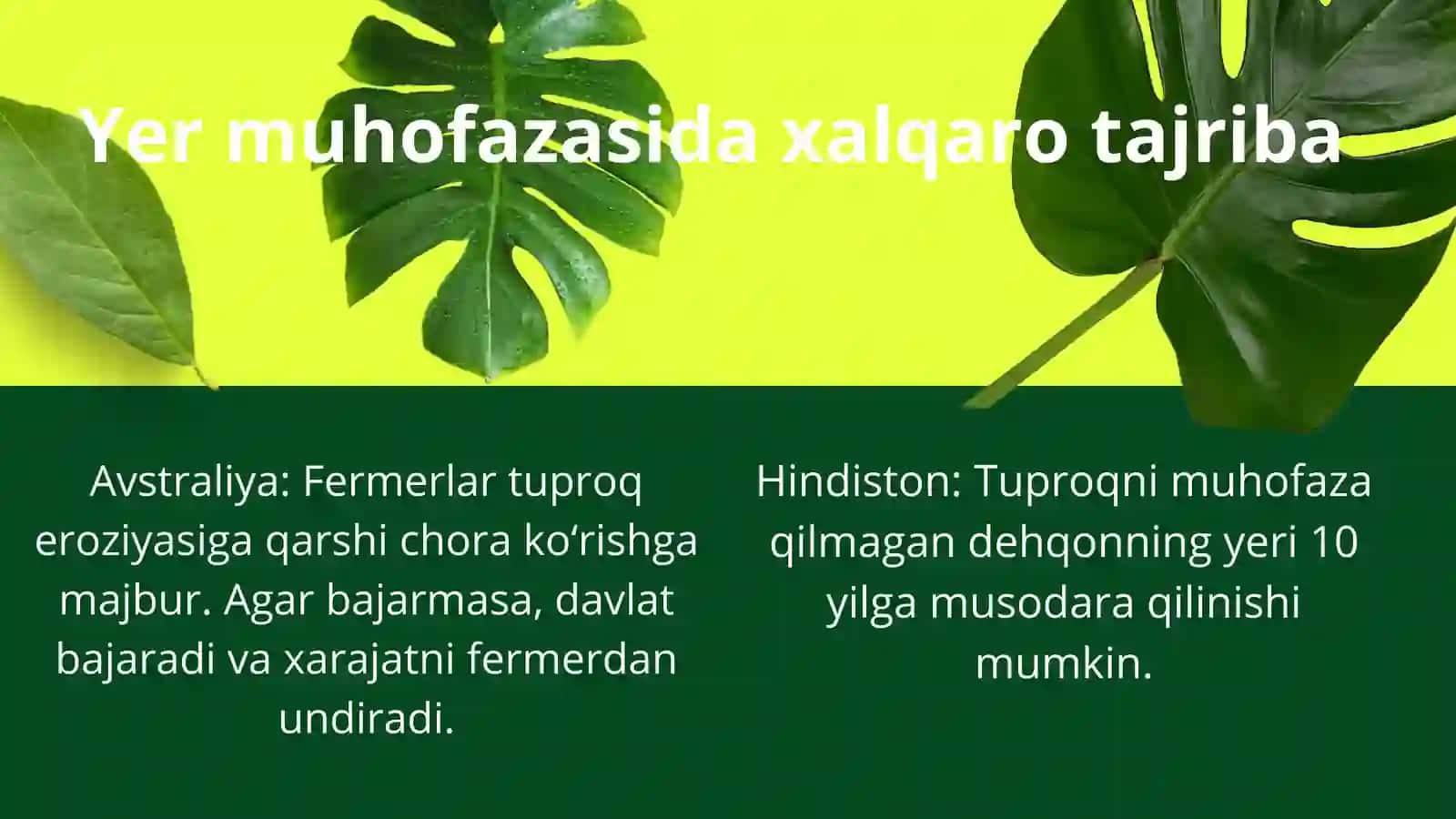 ECOLOGY IS THE STUDY OF INTERACTIONS BETWEEN LIVING ORGANISMS AND THEIR ENVIRONMENT 4