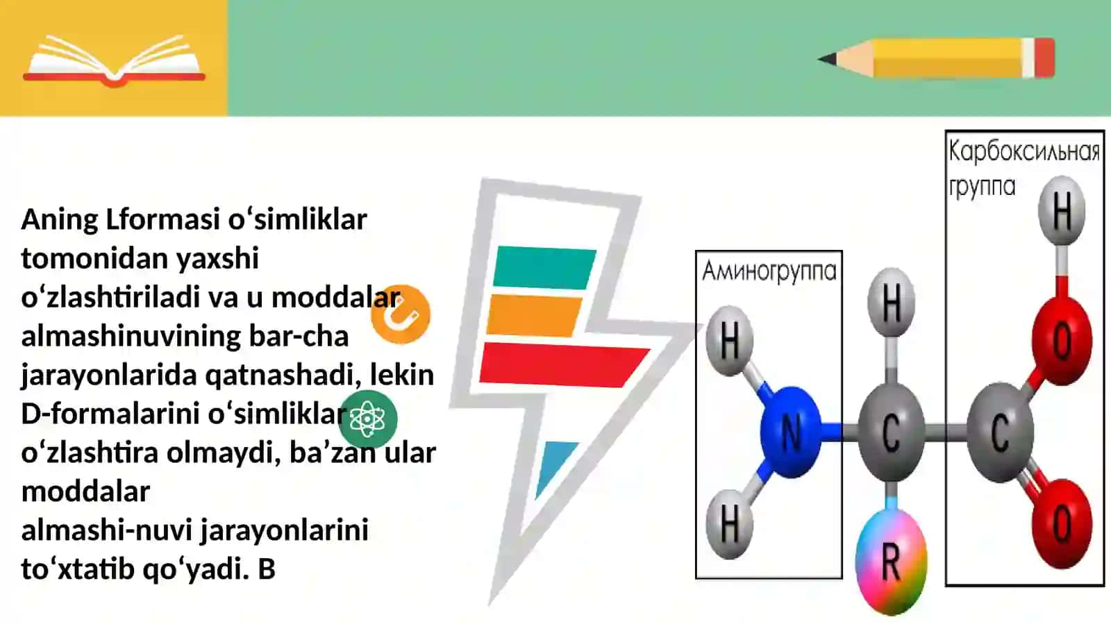 Amino kislotalar 4