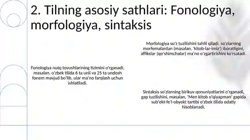 Tilshunoslik nazariyasi 4