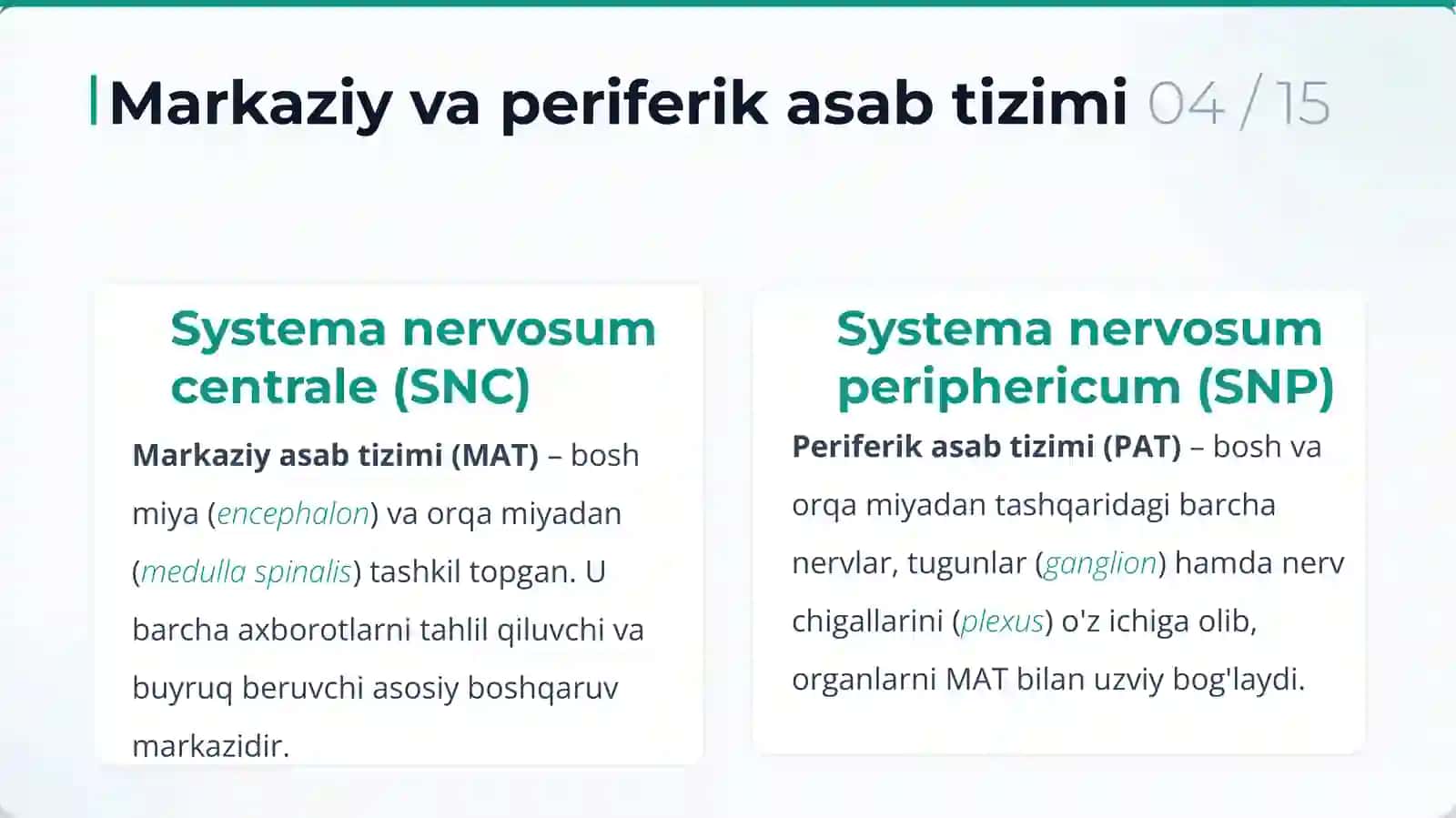 Asab Tizimiga Oid Terminlardan Lug‘at Tuzish 4