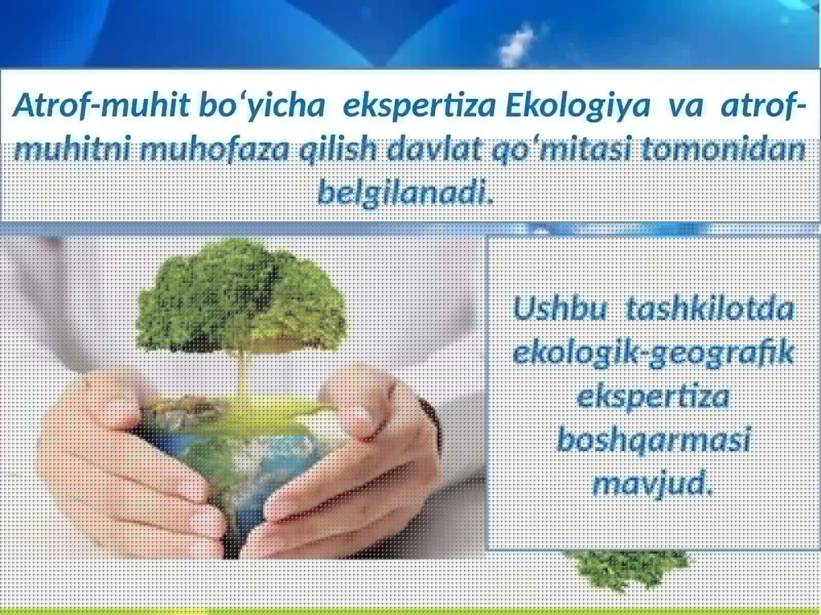 Ekologik ekspertiza 4