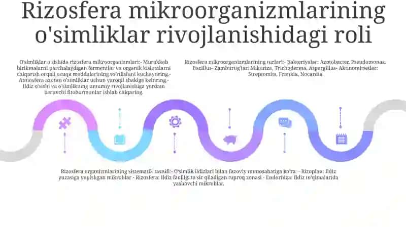 Risozfera Mikroorganizmlarni Turlari Va Sistematikasi 4