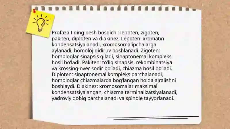 Meyoz I va Meyoz II jarayonlari 4