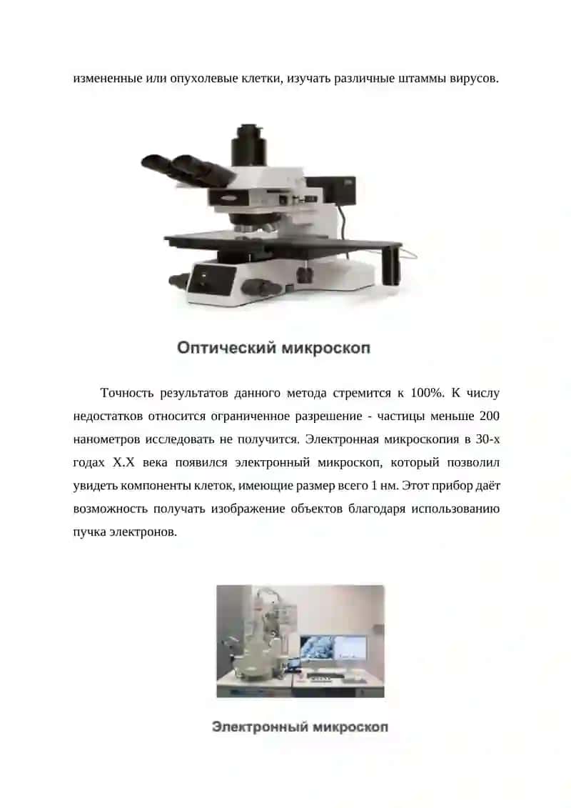 Современные методы цитологии 4