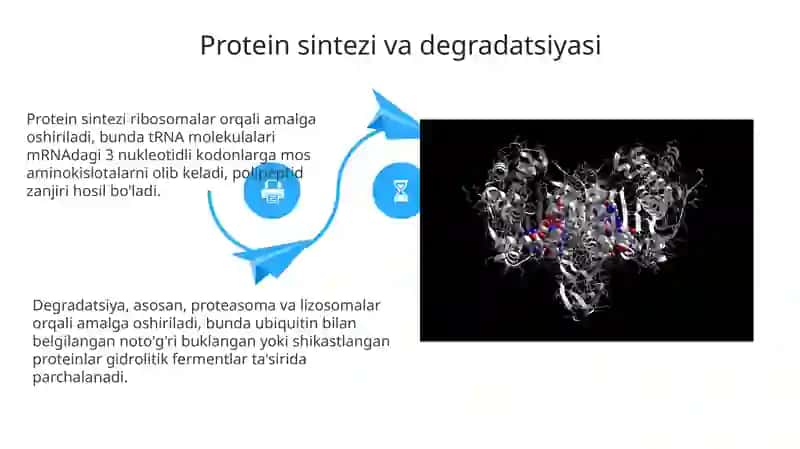 Odam organizmi da oqsilarning biokimyoviy ozgarishi 4