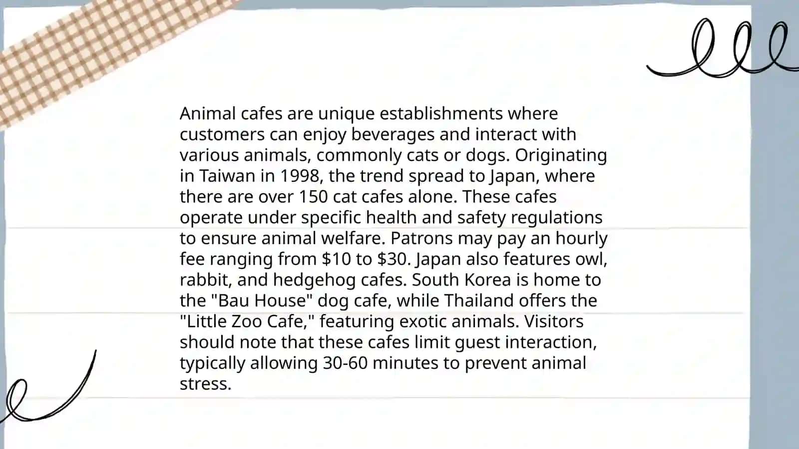 Themed Cafes 4