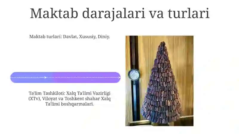 Ta'lim Tuzuimi va Ma'muriyati 4