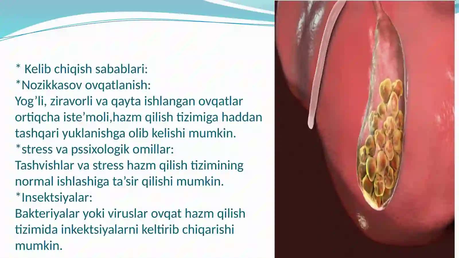 OVQAT XAZM QILISH A’ZOLARI,JIGAR VA O’T YO’LLARI KASALLIKLARINING KELIB CHIQISH SABABLARI VA ULARNI BARTARAF ETISH CHORALARI 4