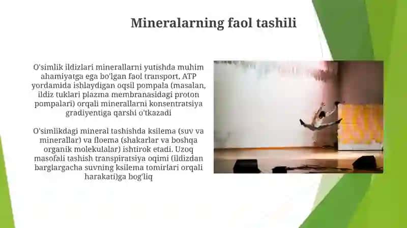 Oʻsimliklarda moddalarning harakati 4