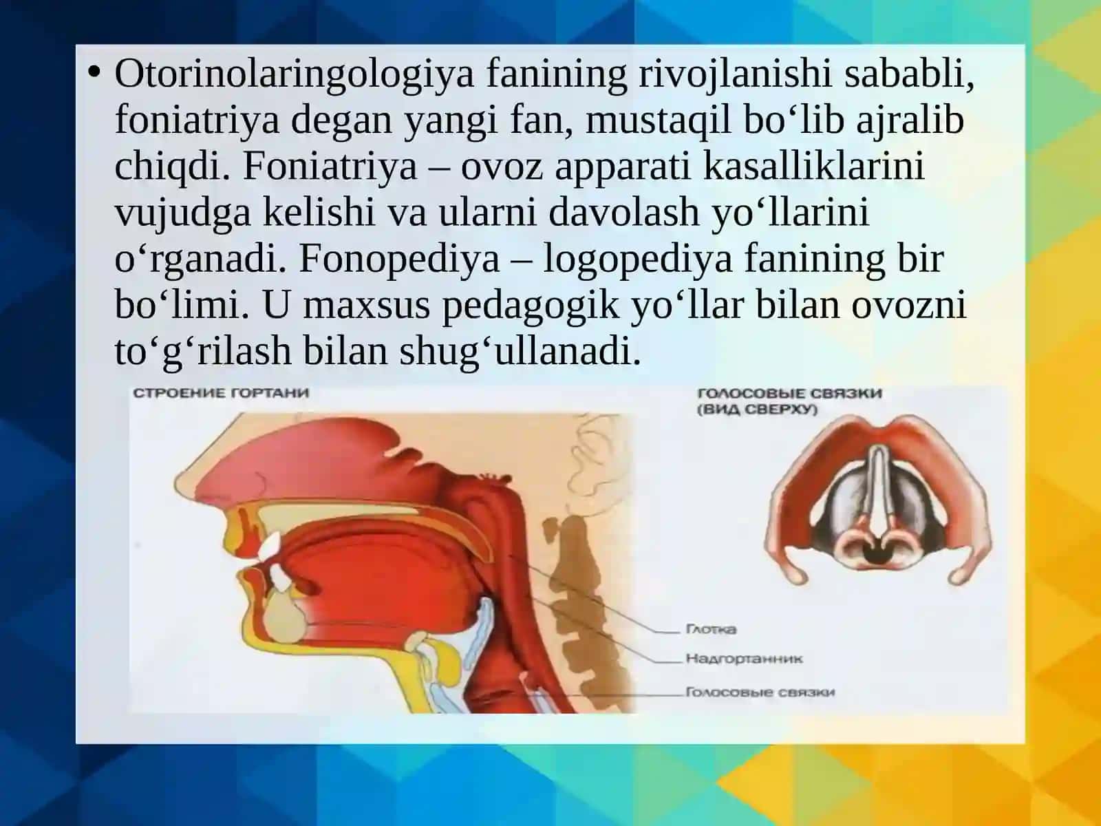 Ovoz buzilishlari, uning sabablari va mexanizmi 4