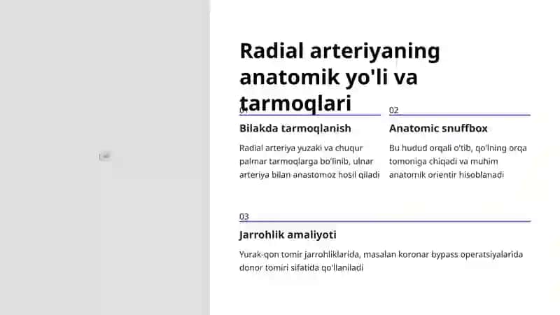 Qo'l arteriyalari 4