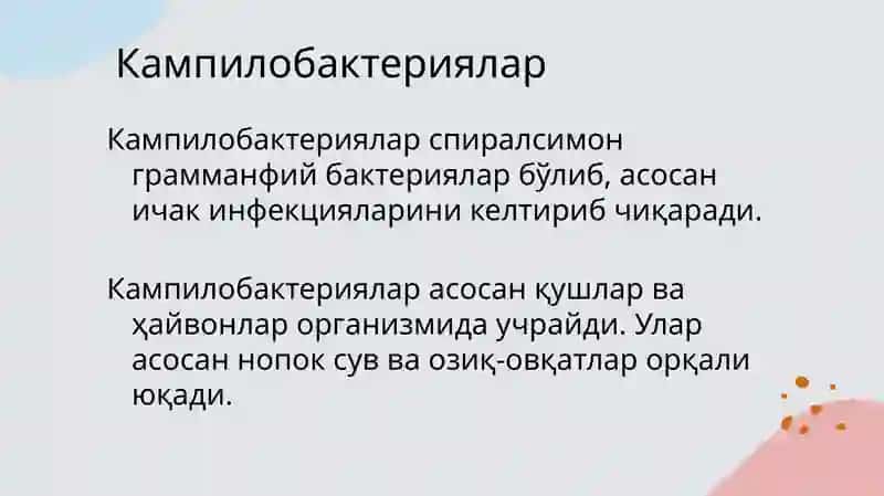 Кампилобактериялар ва Хеликобактериялар 4