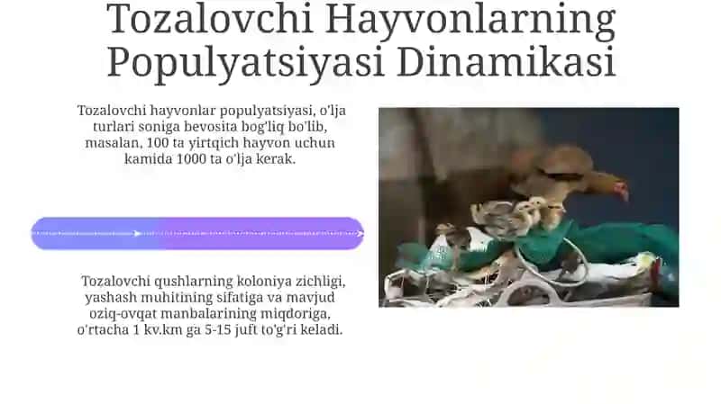Tozalovchi Hayvonlarning Ekologiyasi 4