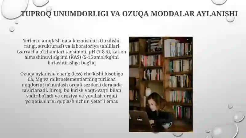 Quruq subtropiklarning tog'oldi va bo'r tuproqlarini aniqlash va o'rganish 4