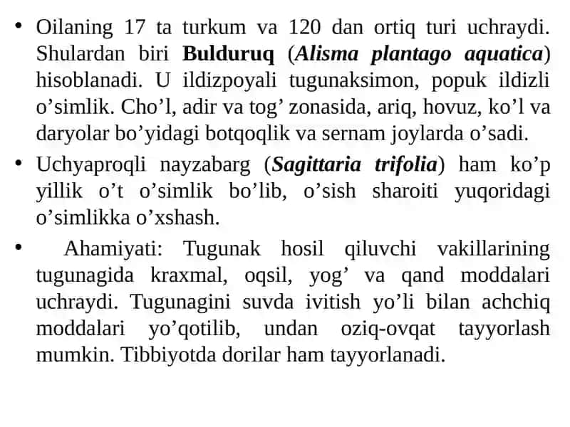 LOLASIMONLAR (BIR URUG'PALLALILAR) - LILIOPSIDA 4