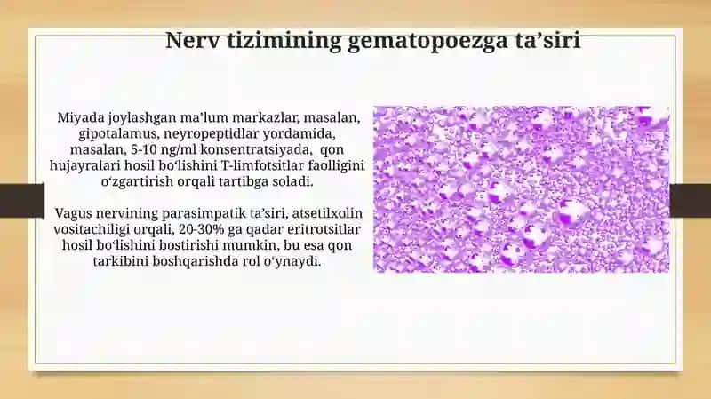 GEMOSITOPOEZ.GEMOSITOPOEZNI NEYRO-GUMORAL BOSHQARILISHI 4