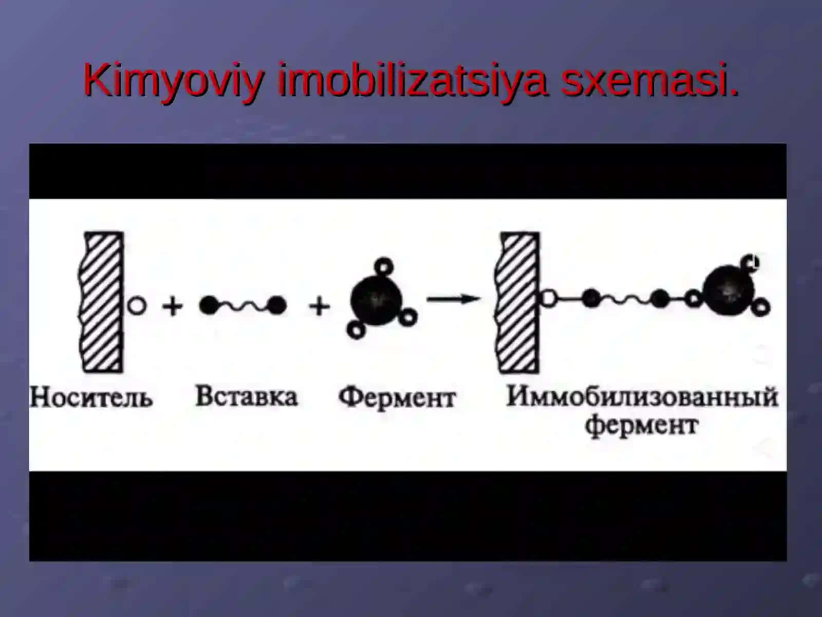Fermentlarni imobillashning kimyoviy usullari 4
