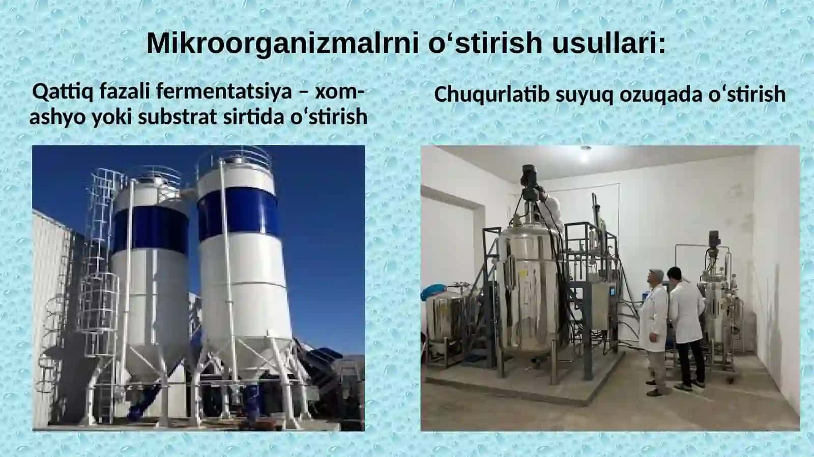 Bioreaktorlar apparatlar va jarayonlar 4