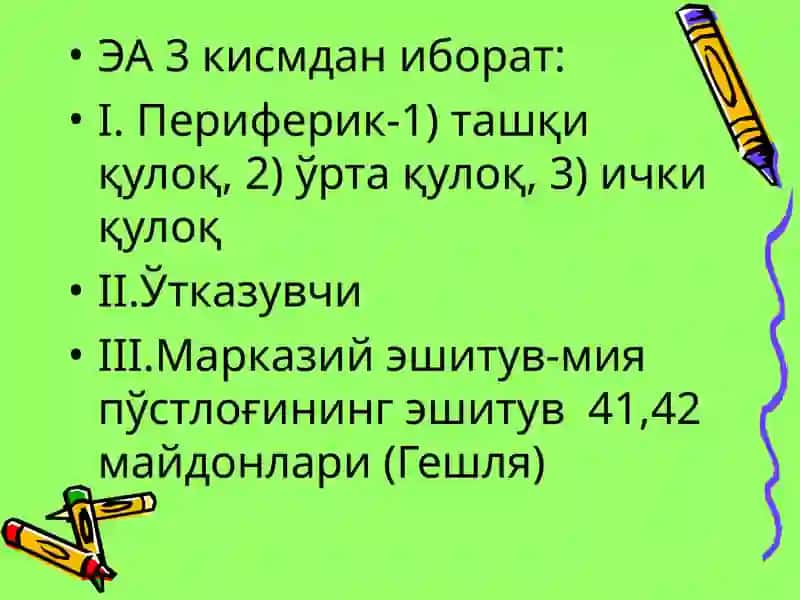 Эшитув вавестибуляранализаторларининг физиологияси 4