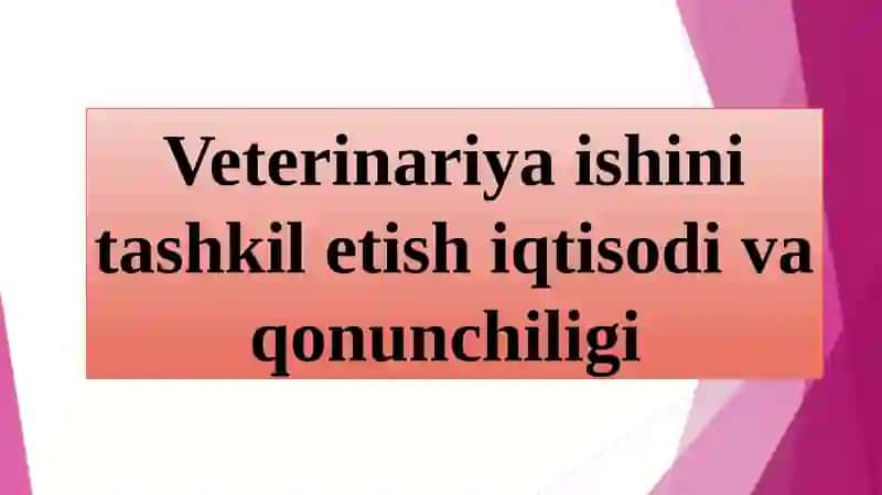 HUSENOV DILSHODBEKNING MALAKAVIY AMALIYOTDAN TAYYORLAGAN TAQDIMOTI 4
