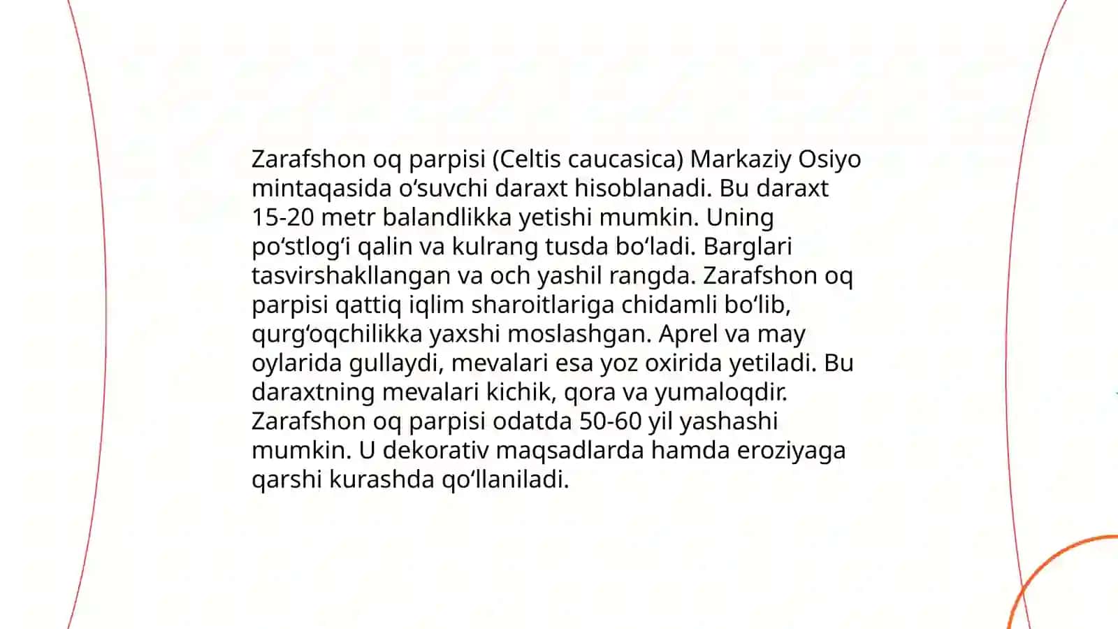 Zarafshon oq parpisi turining tarqalishi,ekologiyasi va tibbiyotda qo'llanishi 4