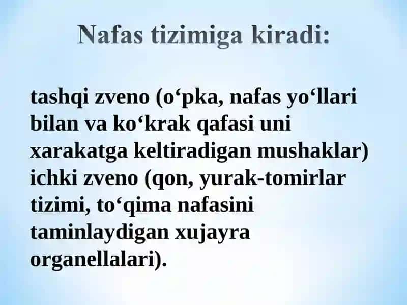 Nafasolish tizimining fiziologiyasi 4