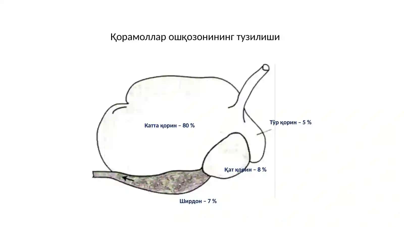 Рацион ва рацион нормаси 4
