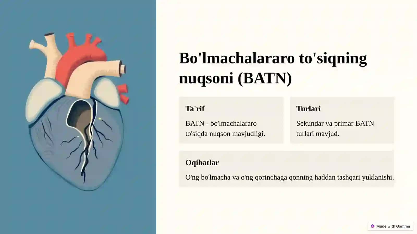 Qon-tomir sistemasi tug'ma rivojlanish nuqsonlari 4