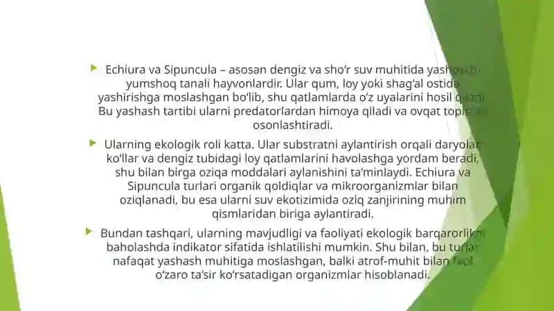 Echiura va Sipuncula turlarining ekologik o‘rni va yashash muhit 4
