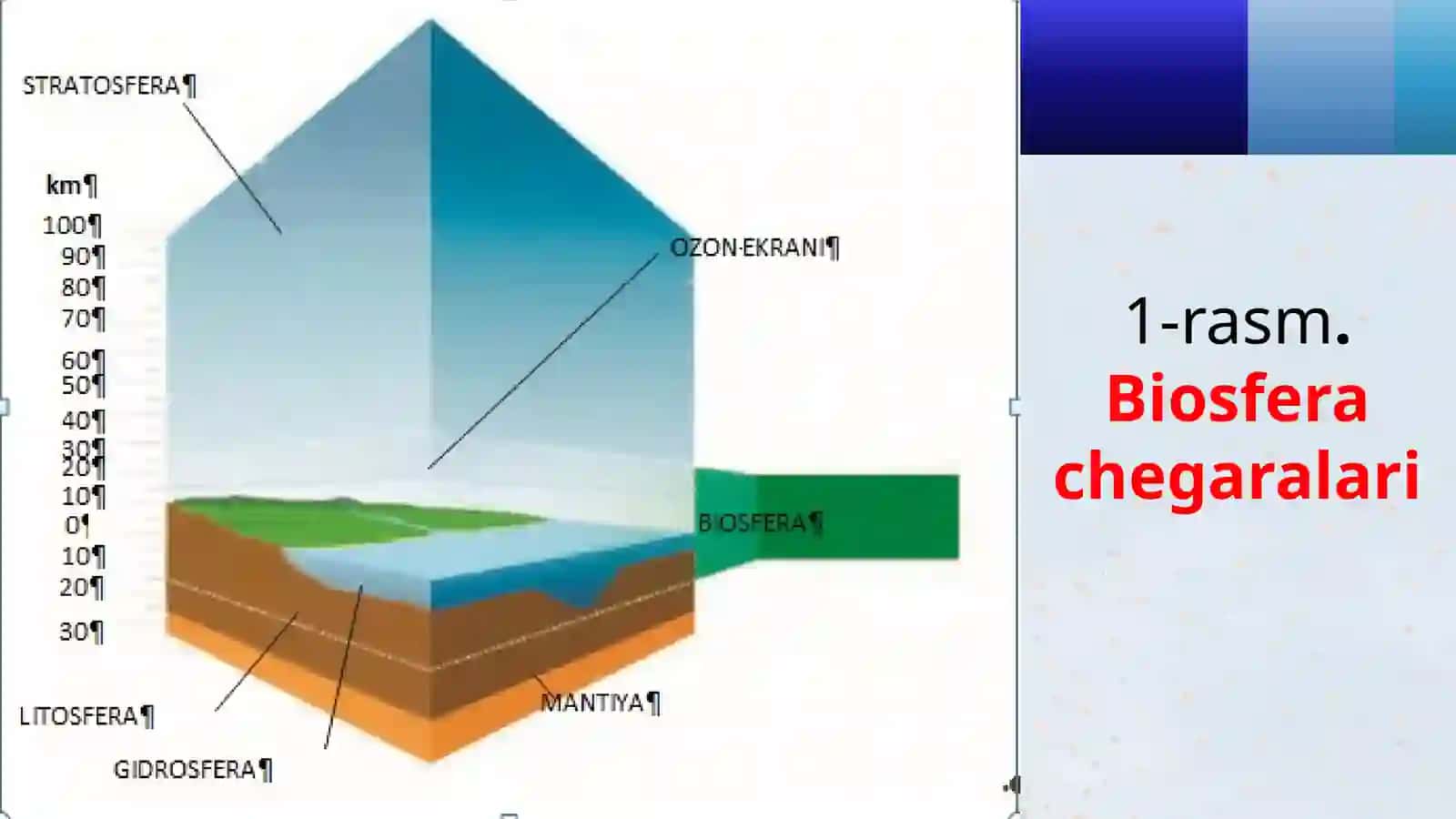 BIOSFERA. BIOSFERANING TARKIBI VA BARQARORLIGI 4