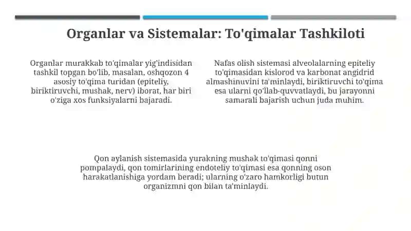 Teri tuzilishi va ahamiyati 4