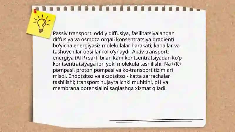 Hujayralarning oziqlanishi, rivojlanishi va ko‘payishi 4