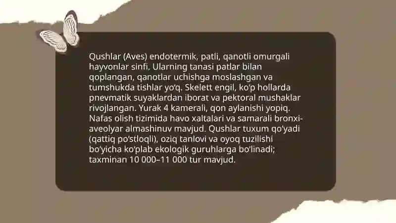 Sut emizuvchilar (Mammalia) 4