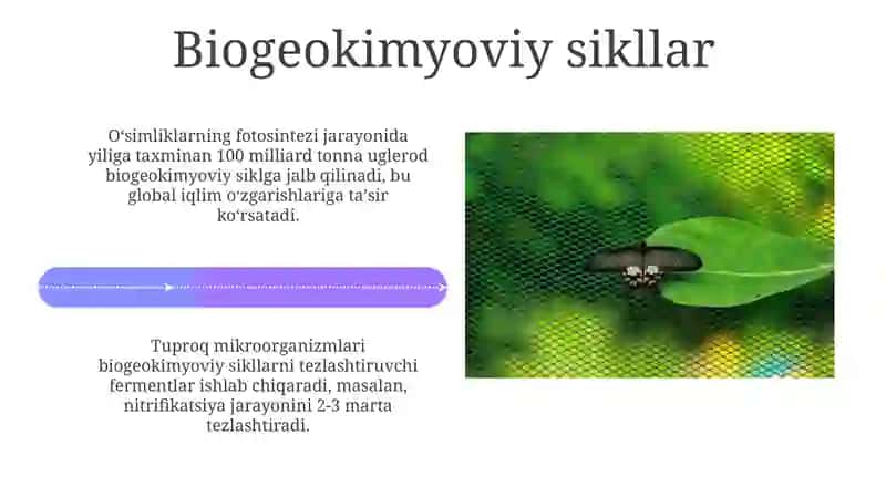 Ekologiyani rivojlantirish 4