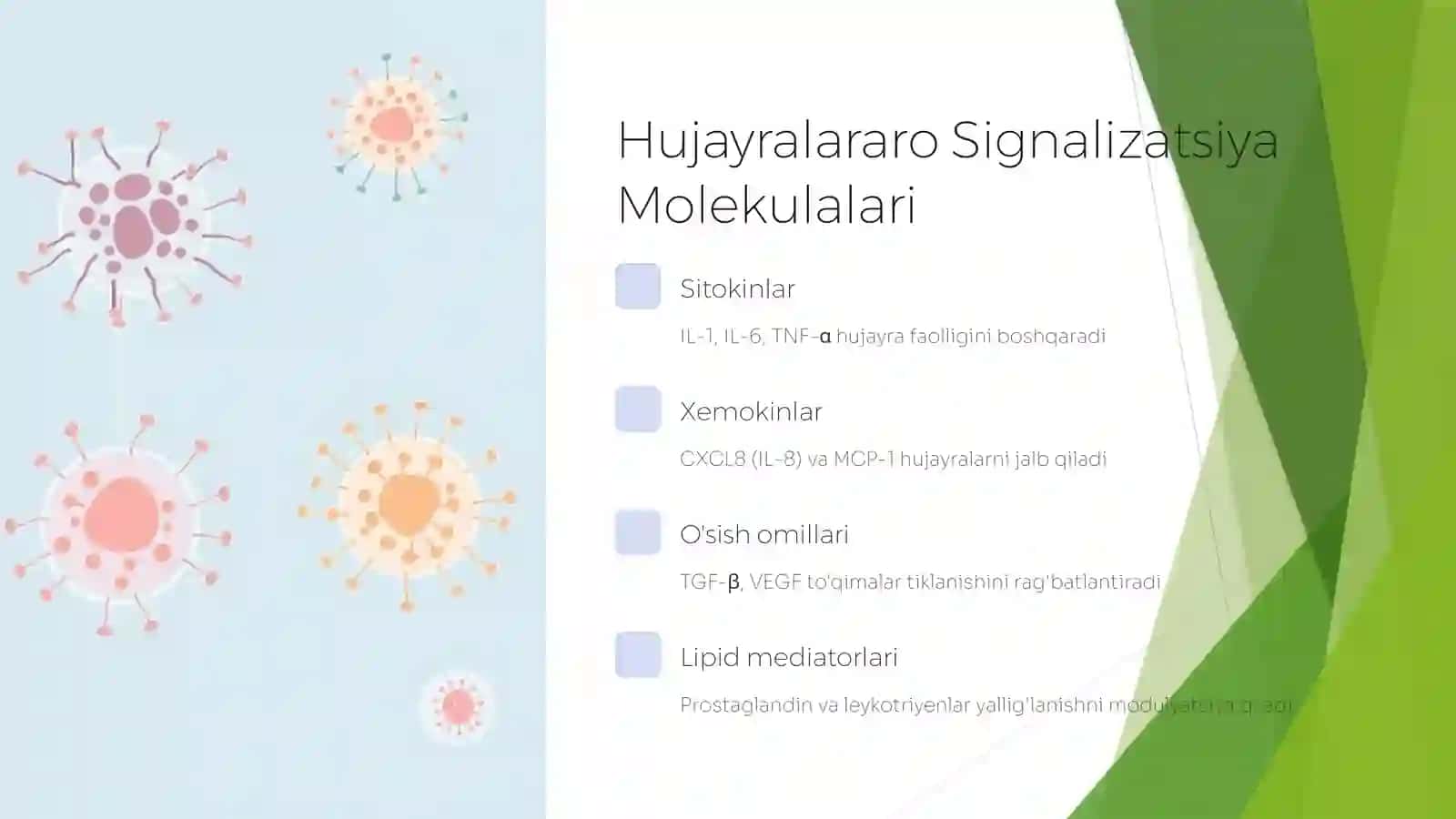 Yalig'lanish Reaksiyasi vaqtida Hujayralarning O'zaro Ta'siri 4