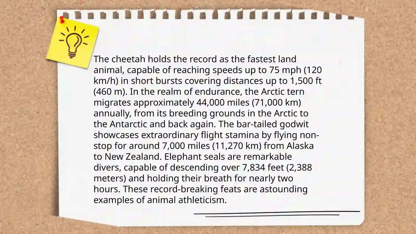 Amazing animals 4