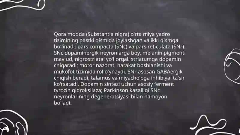 Oʻrta miya yadrolari fiziologiyasi tuzilishi 4