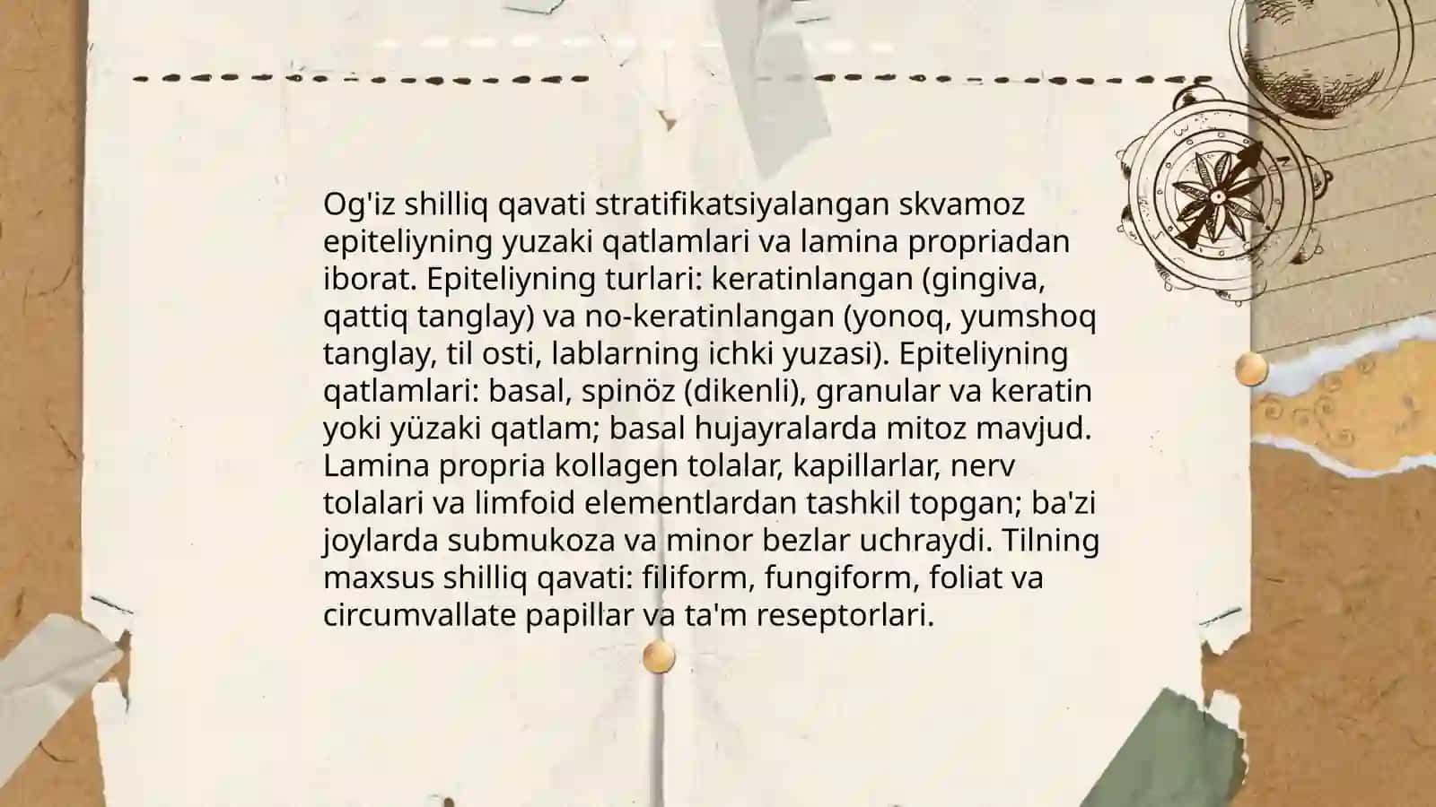 Og’iz bo'shlig’i va hazm yo’llari 4