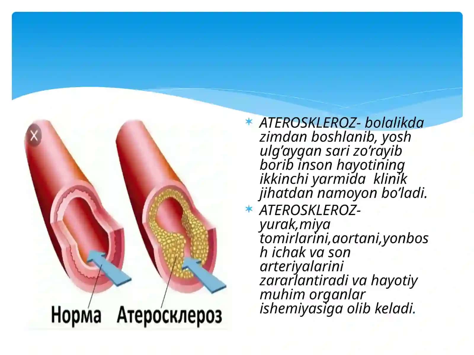 Qon tomir - yurak patologiyasi 4