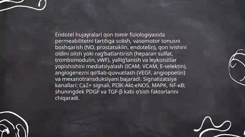 Qon tomirlar fiziologiyasi 4