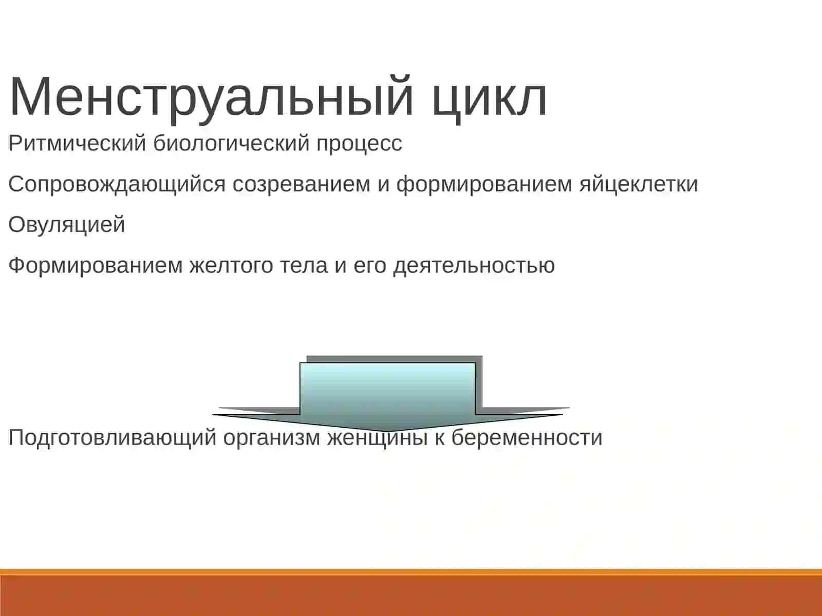 МЕНУСТИРАЛНИ СИКЛ 4