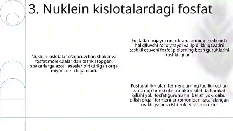 Hujayra Strukturalari Va Fermentlar Tizimining Hosil Bo'Lishida Fosforli Birikmalarning Ishtiroki 4