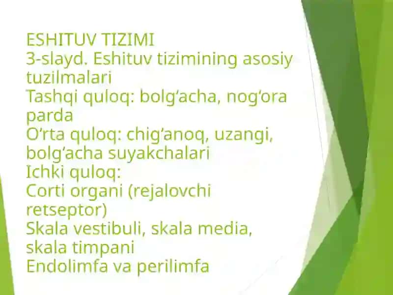 Eshituv tizimi,  Vestibulyar apparat,Hid bilish,Ta'm bilish 4