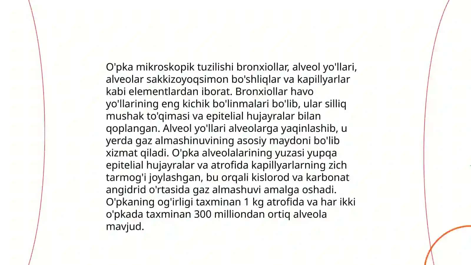 Kekirdak o'pka funksional va topografik anatomiya 4